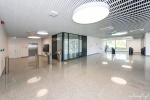 fotografia biznesowa toruń